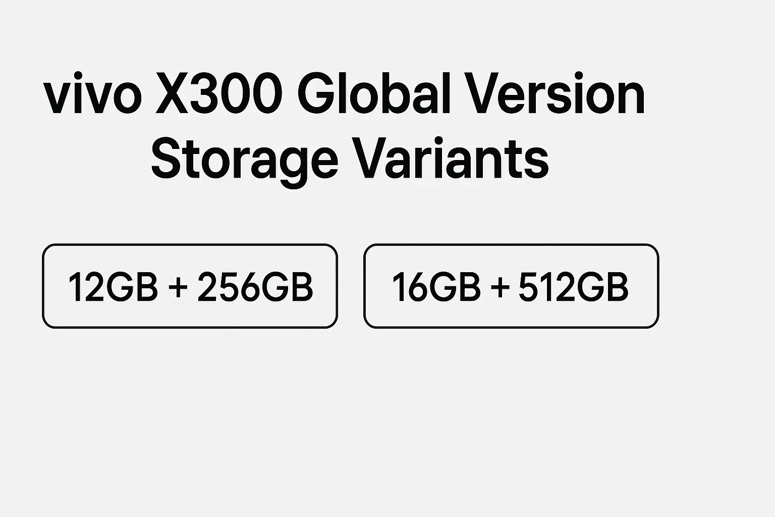vivo x300 global version storage variants